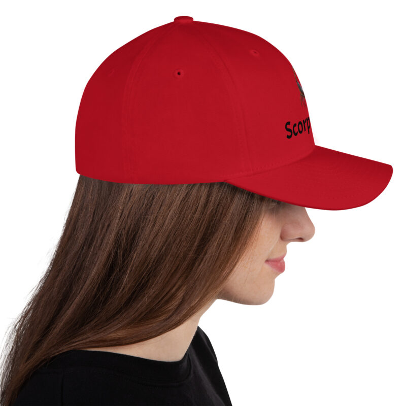ScorpionKiller Structured Twill Cap - Image 11